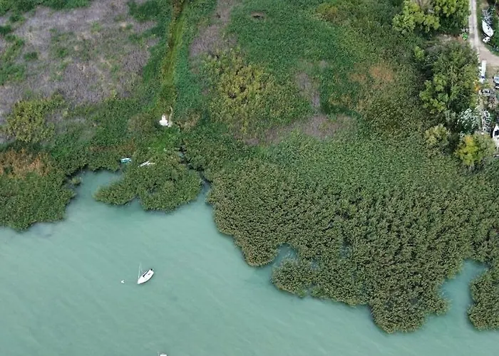 The Balaton Nest! 아파트